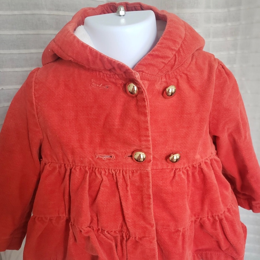 Baby Girl Gymboree Fall Jacket